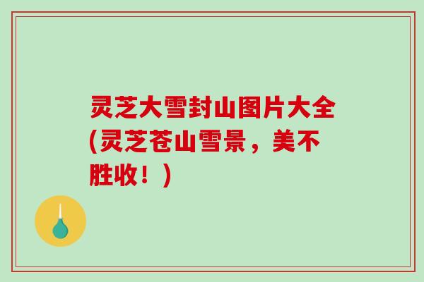 灵芝大雪封山图片大全(灵芝苍山雪景，美不胜收！)