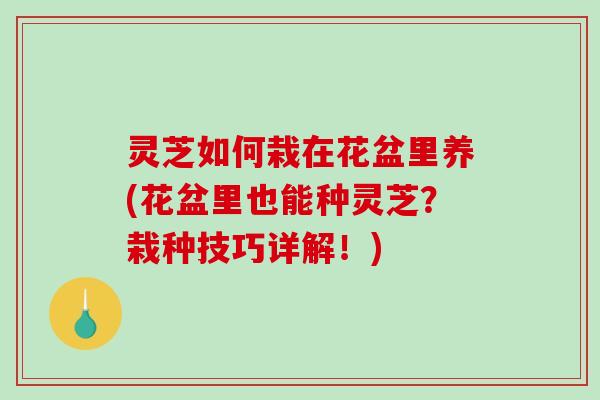 灵芝如何栽在花盆里养(花盆里也能种灵芝？栽种技巧详解！)