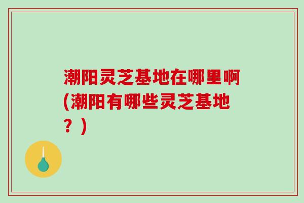 潮阳灵芝基地在哪里啊(潮阳有哪些灵芝基地？)