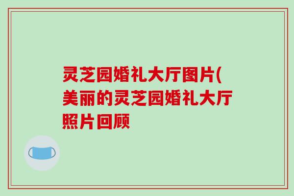 灵芝园婚礼大厅图片(美丽的灵芝园婚礼大厅照片回顾