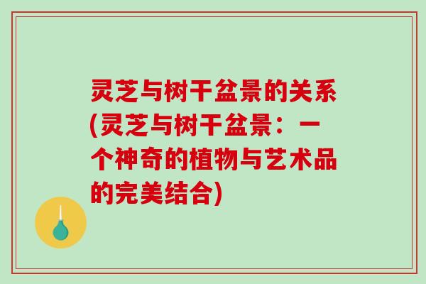 灵芝与树干盆景的关系(灵芝与树干盆景：一个神奇的植物与艺术品的完美结合)