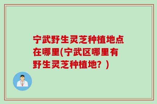 宁武野生灵芝种植地点在哪里(宁武区哪里有野生灵芝种植地？)