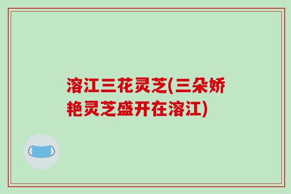 溶江三花灵芝(三朵娇艳灵芝盛开在溶江)