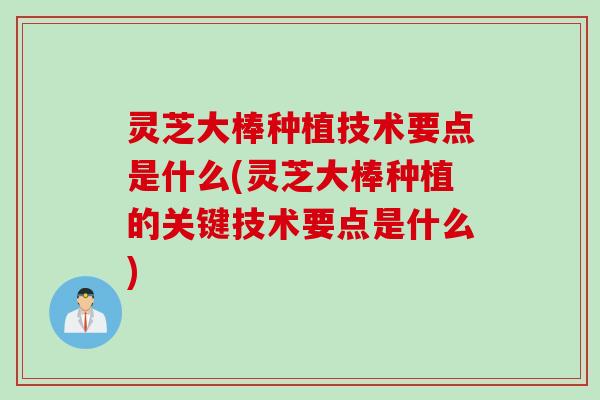 灵芝大棒种植技术要点是什么(灵芝大棒种植的关键技术要点是什么)
