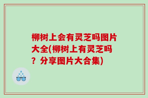 柳树上会有灵芝吗图片大全(柳树上有灵芝吗？分享图片大合集)