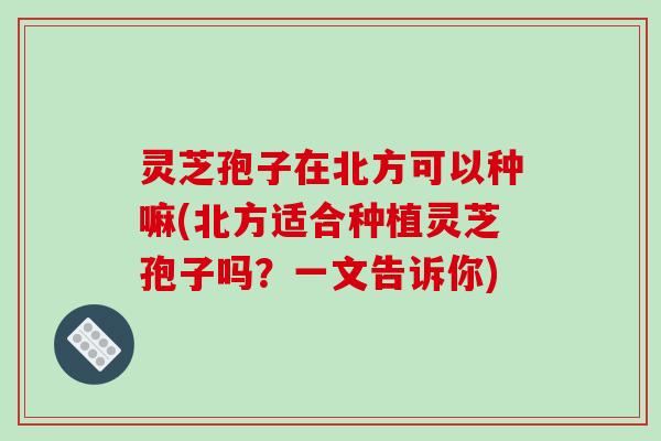灵芝孢子在北方可以种嘛(北方适合种植灵芝孢子吗？一文告诉你)