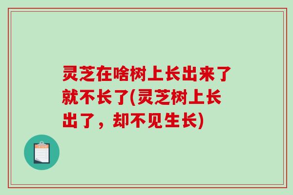 灵芝在啥树上长出来了就不长了(灵芝树上长出了，却不见生长)
