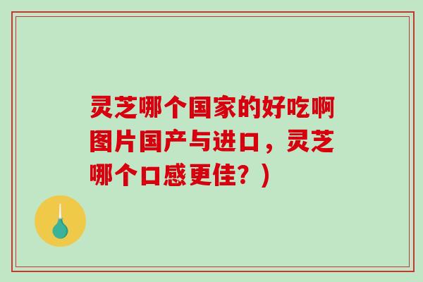 灵芝哪个国家的好吃啊图片国产与进口，灵芝哪个口感更佳？)