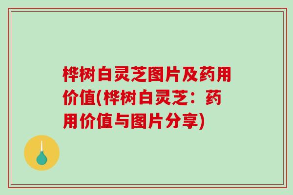 桦树白灵芝图片及药用价值(桦树白灵芝：药用价值与图片分享)
