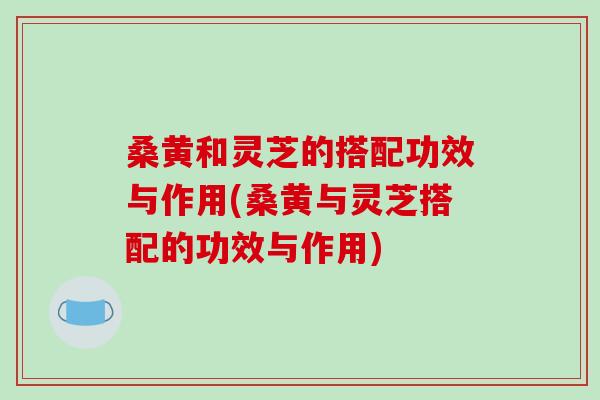 桑黄和灵芝的搭配功效与作用(桑黄与灵芝搭配的功效与作用)