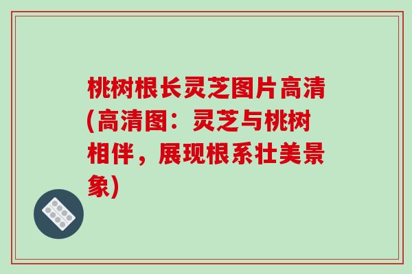 桃树根长灵芝图片高清(高清图：灵芝与桃树相伴，展现根系壮美景象)