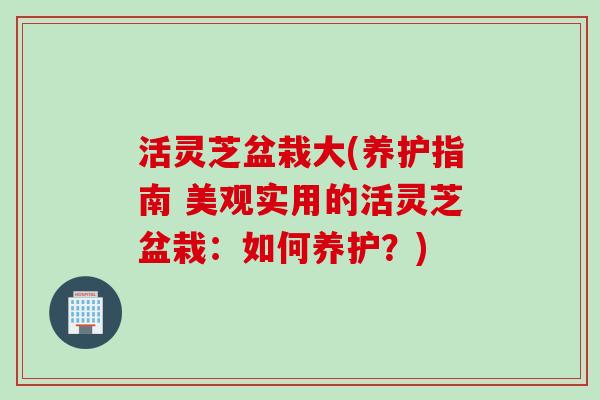 活灵芝盆栽大(养护指南 美观实用的活灵芝盆栽：如何养护？)
