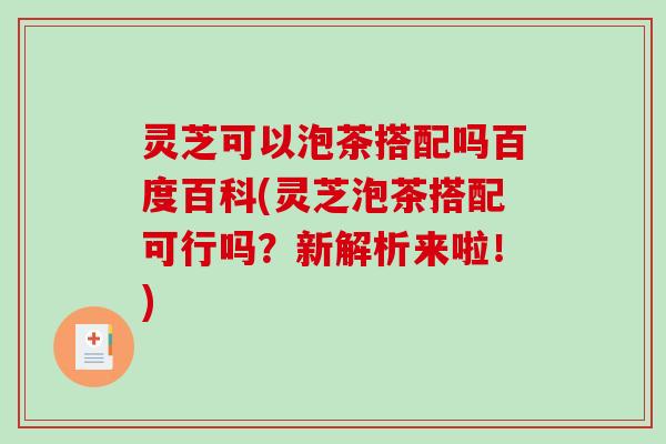灵芝可以泡茶搭配吗百度百科(灵芝泡茶搭配可行吗？新解析来啦！)