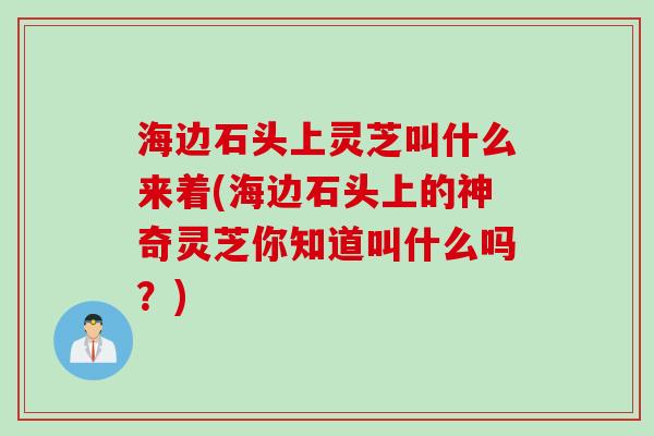 海边石头上灵芝叫什么来着(海边石头上的神奇灵芝你知道叫什么吗？)