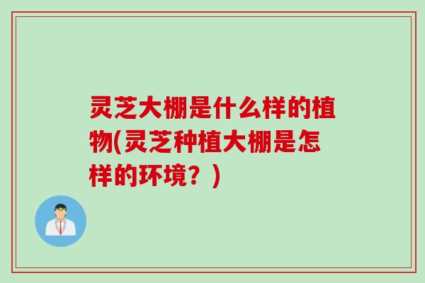 灵芝大棚是什么样的植物(灵芝种植大棚是怎样的环境？)