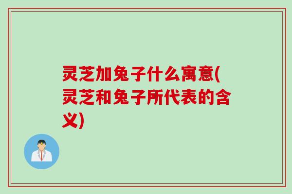 灵芝加兔子什么寓意(灵芝和兔子所代表的含义)