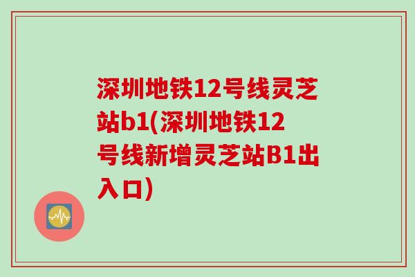 深圳地铁12号线灵芝站b1(深圳地铁12号线新增灵芝站B1出入口)