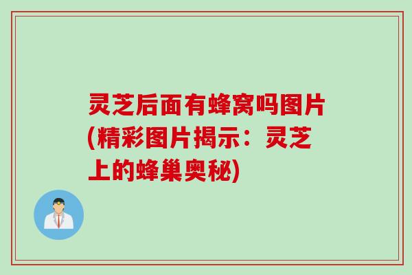 灵芝后面有蜂窝吗图片(精彩图片揭示：灵芝上的蜂巢奥秘)