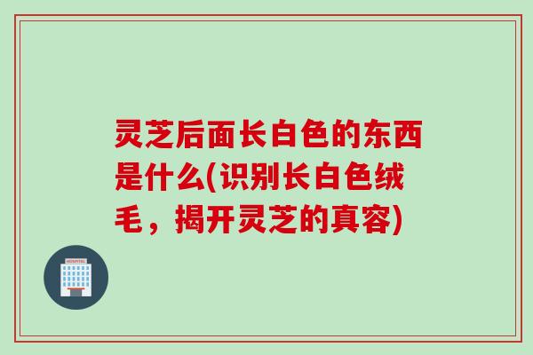 灵芝后面长白色的东西是什么(识别长白色绒毛，揭开灵芝的真容)