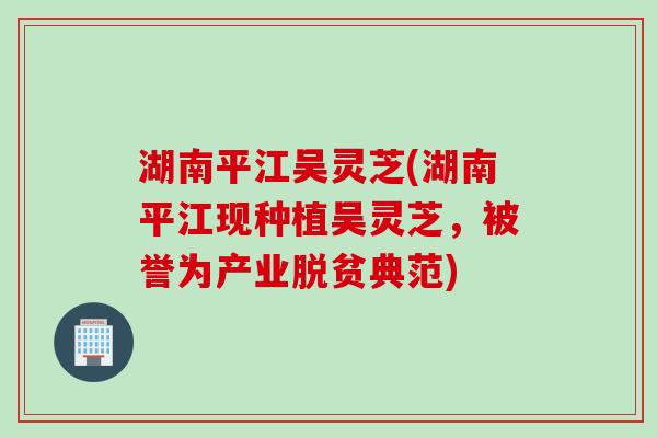 湖南平江吴灵芝(湖南平江现种植吴灵芝，被誉为产业脱贫典范)