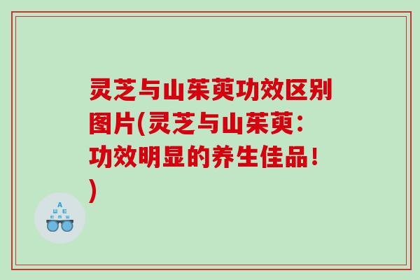 灵芝与山茱萸功效区别图片(灵芝与山茱萸：功效明显的养生佳品！)