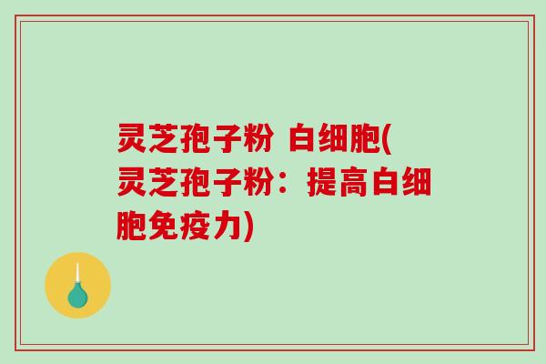 灵芝孢子粉 白细胞(灵芝孢子粉：提高白细胞免疫力)