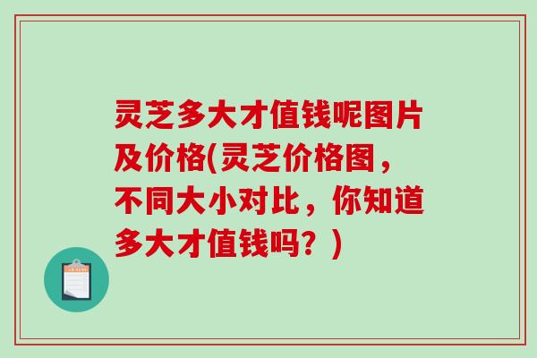 灵芝多大才值钱呢图片及价格(灵芝价格图，不同大小对比，你知道多大才值钱吗？)