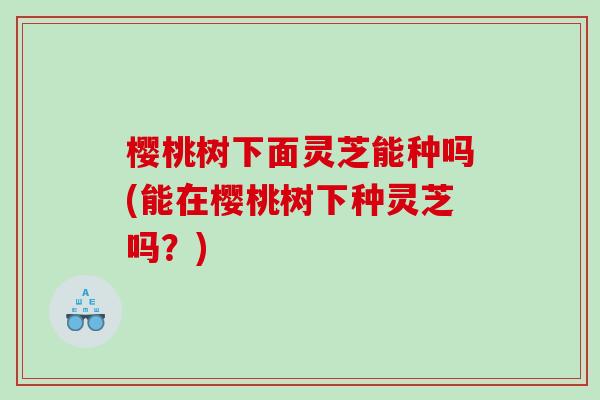 樱桃树下面灵芝能种吗(能在樱桃树下种灵芝吗？)