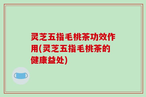 灵芝五指毛桃茶功效作用(灵芝五指毛桃茶的健康益处)
