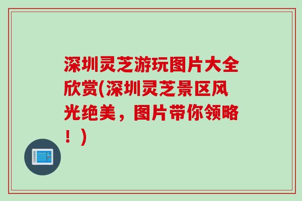 深圳灵芝游玩图片大全欣赏(深圳灵芝景区风光绝美,图片带你领略!) 深圳灵芝游玩图片大全欣赏(深圳灵芝景区风光绝美,图片带你领略!)