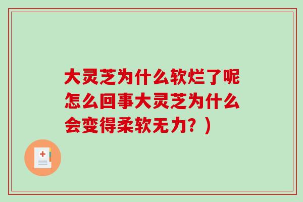 大灵芝为什么软烂了呢怎么回事大灵芝为什么会变得柔软无力?) 大灵芝为什么软烂了呢怎么回事大灵芝为什么会变得柔软无力?)