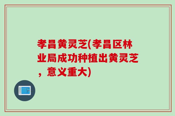 孝昌黄灵芝(孝昌区林业局成功种植出黄灵芝,意义重大) 孝昌黄灵芝(孝昌区林业局成功种植出黄灵芝,意义重大)
