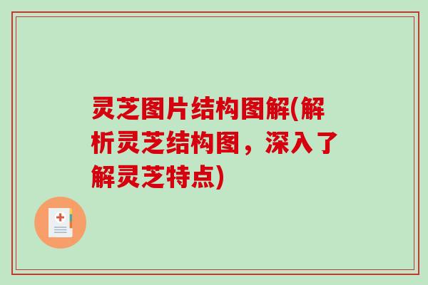 灵芝图片结构图解(解析灵芝结构图，深入了解灵芝特点)