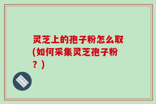灵芝上的孢子粉怎么取(如何采集灵芝孢子粉？)