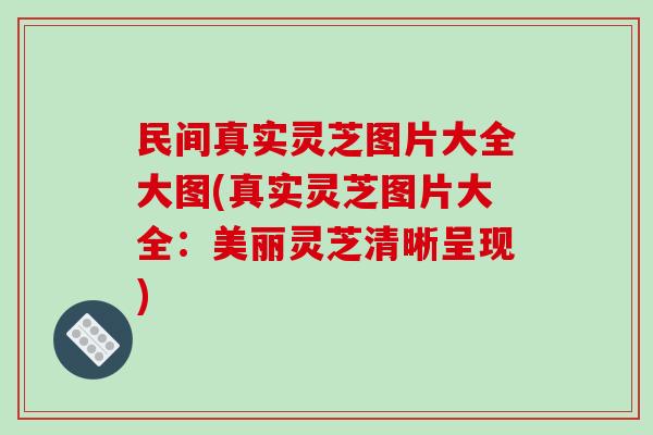 民间真实灵芝图片大全大图(真实灵芝图片大全：美丽灵芝清晰呈现)