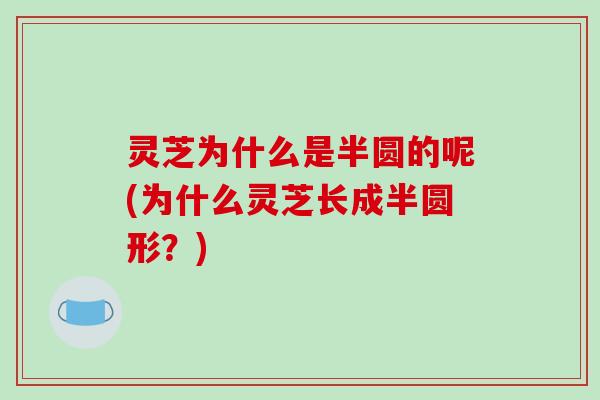 灵芝为什么是半圆的呢(为什么灵芝长成半圆形？)
