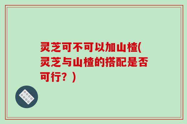 灵芝可不可以加山楂(灵芝与山楂的搭配是否可行？)