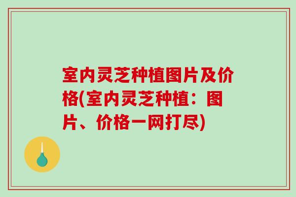 室内灵芝种植图片及价格(室内灵芝种植：图片、价格一网打尽)
