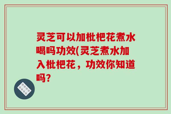 灵芝可以加枇杷花煮水喝吗功效(灵芝煮水加入枇杷花，功效你知道吗？