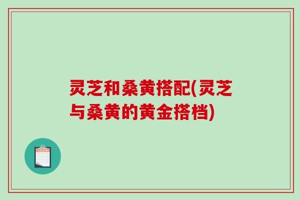 灵芝和桑黄搭配(灵芝与桑黄的黄金搭档)