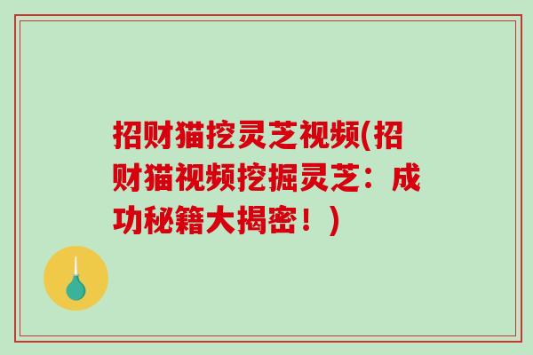 招财猫挖灵芝视频(招财猫视频挖掘灵芝：成功秘籍大揭密！)
