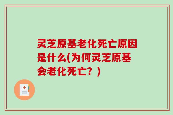 灵芝原基老化死亡原因是什么(为何灵芝原基会老化死亡？)