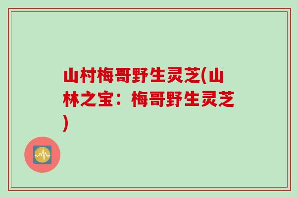 山村梅哥野生灵芝(山林之宝：梅哥野生灵芝)