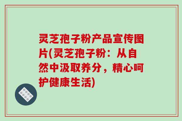 灵芝孢子粉产品宣传图片(灵芝孢子粉：从自然中汲取养分，精心呵护健康生活)