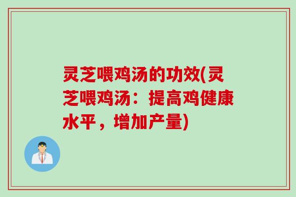 灵芝喂鸡汤的功效(灵芝喂鸡汤：提高鸡健康水平，增加产量)
