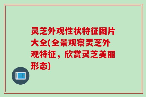 灵芝外观性状特征图片大全(全景观察灵芝外观特征，欣赏灵芝美丽形态)