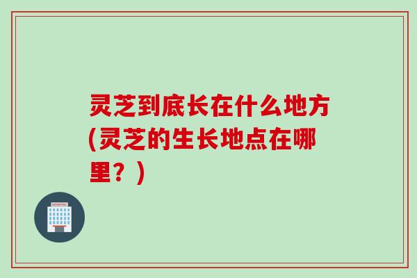 灵芝到底长在什么地方(灵芝的生长地点在哪里？)