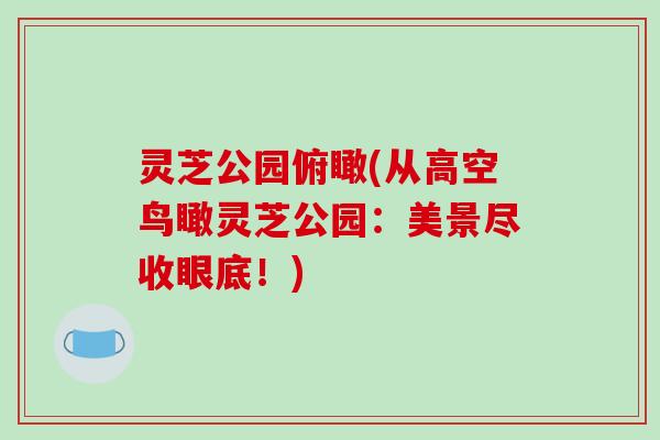 灵芝公园俯瞰(从高空鸟瞰灵芝公园：美景尽收眼底！)