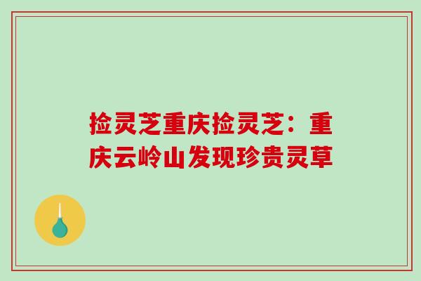 捡灵芝重庆捡灵芝：重庆云岭山发现珍贵灵草