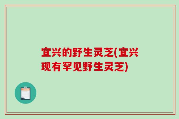 宜兴的野生灵芝(宜兴现有罕见野生灵芝)